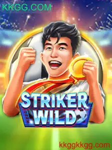 Descubra o Envolvente Universo de StrikerWILD